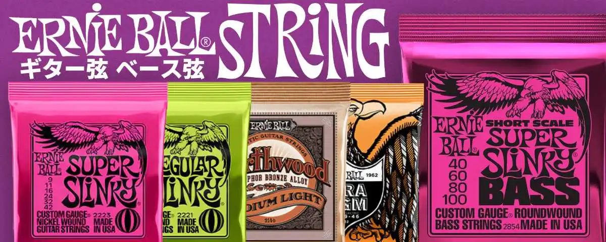 ERNIE BALL 弦