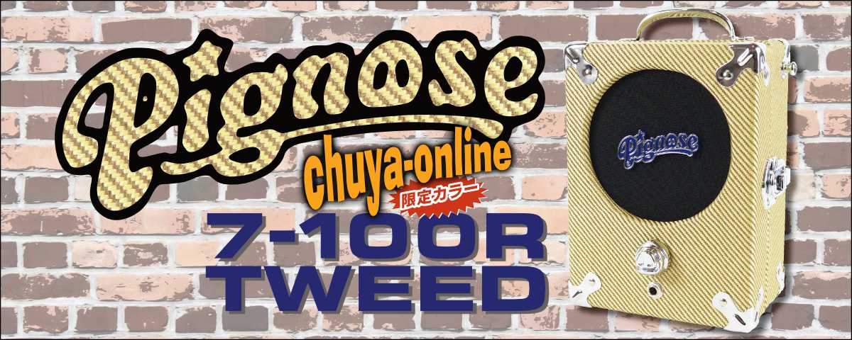 pignose7_100r_t