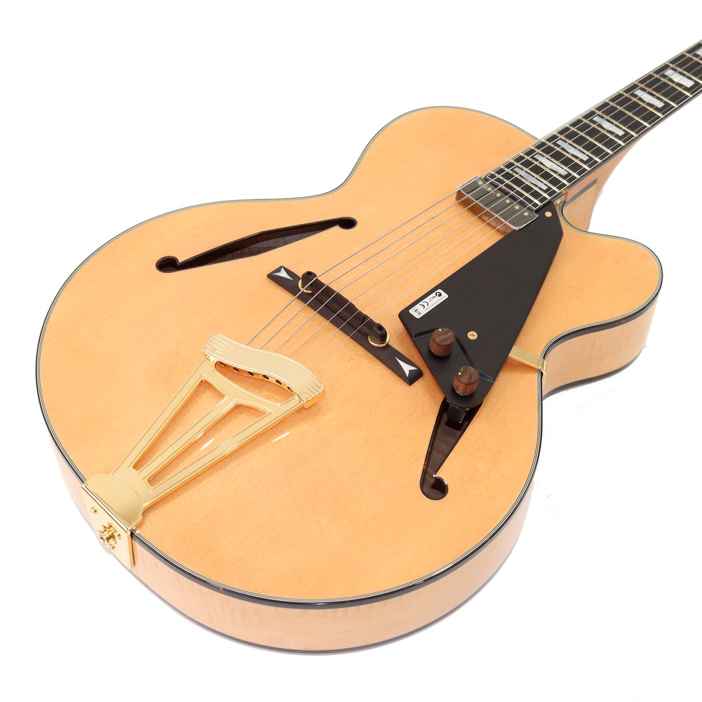 FUJIGEN MFA-FP JN Masterfield フルアコギター ボディアップ