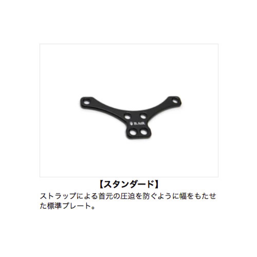 詳細画像