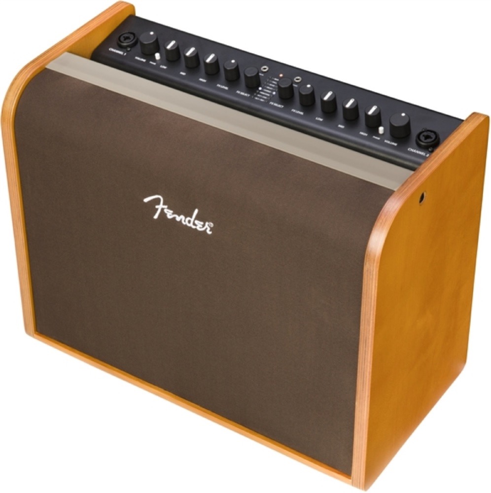 Fender ACOUSTIC 100 アコースティックギターアンプ