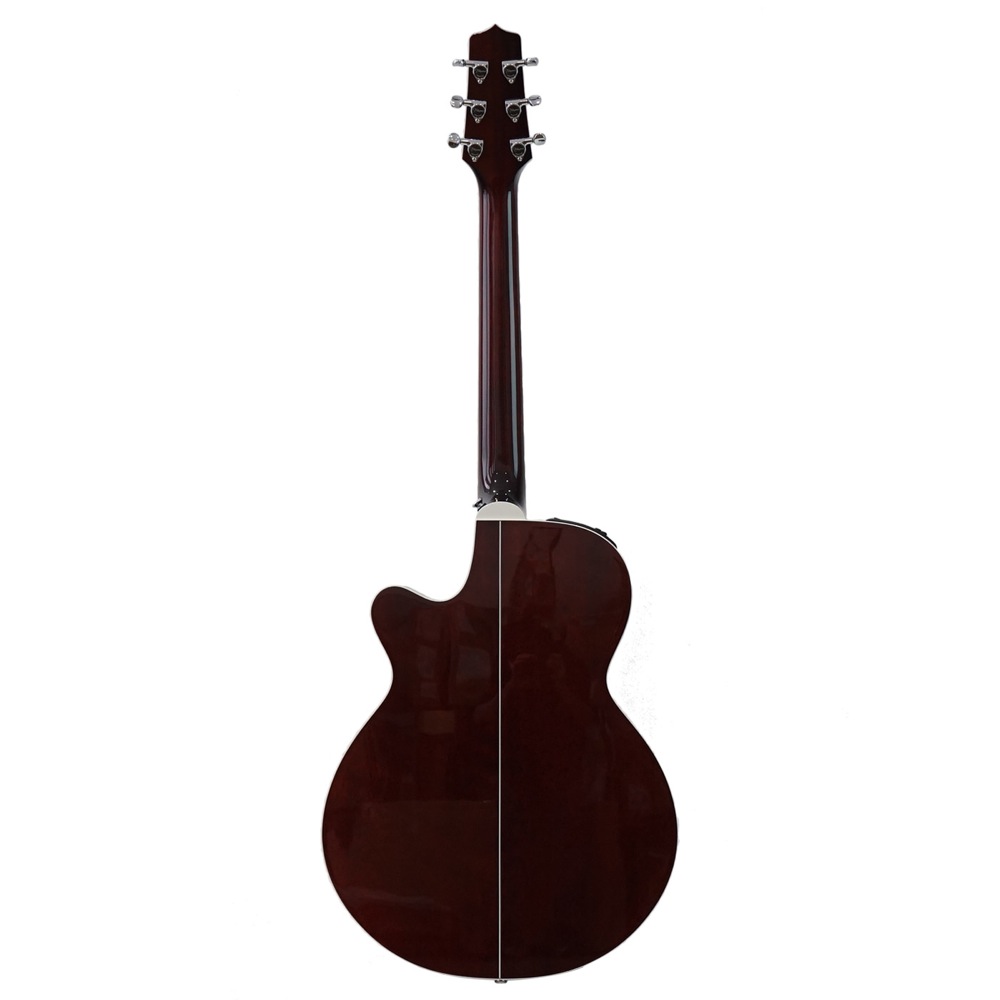 TAKAMINE PTU121C FCB エレクトリックアコースティックギター 背面全体の画像