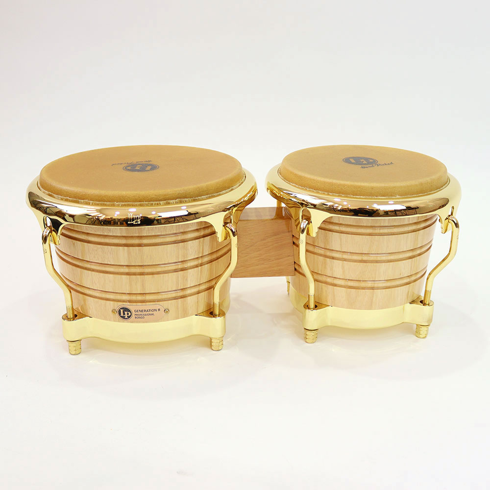 LP LP201AX-2AW Generation II Bongos ボンゴ 全体画像