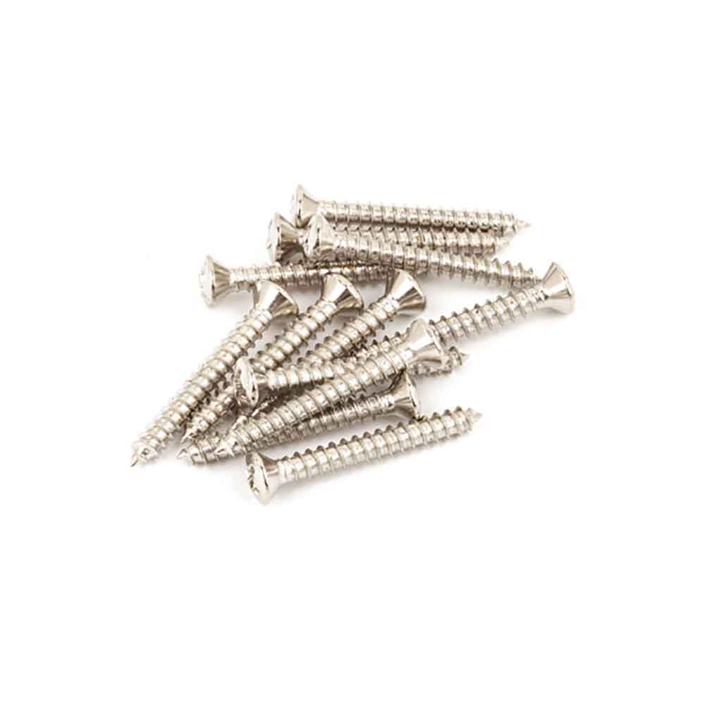 Fender Vintage-Style Bass/Telecaster Bridge/Strap Button Mounting Screws 12 Phillips head Nickel スクリュー
