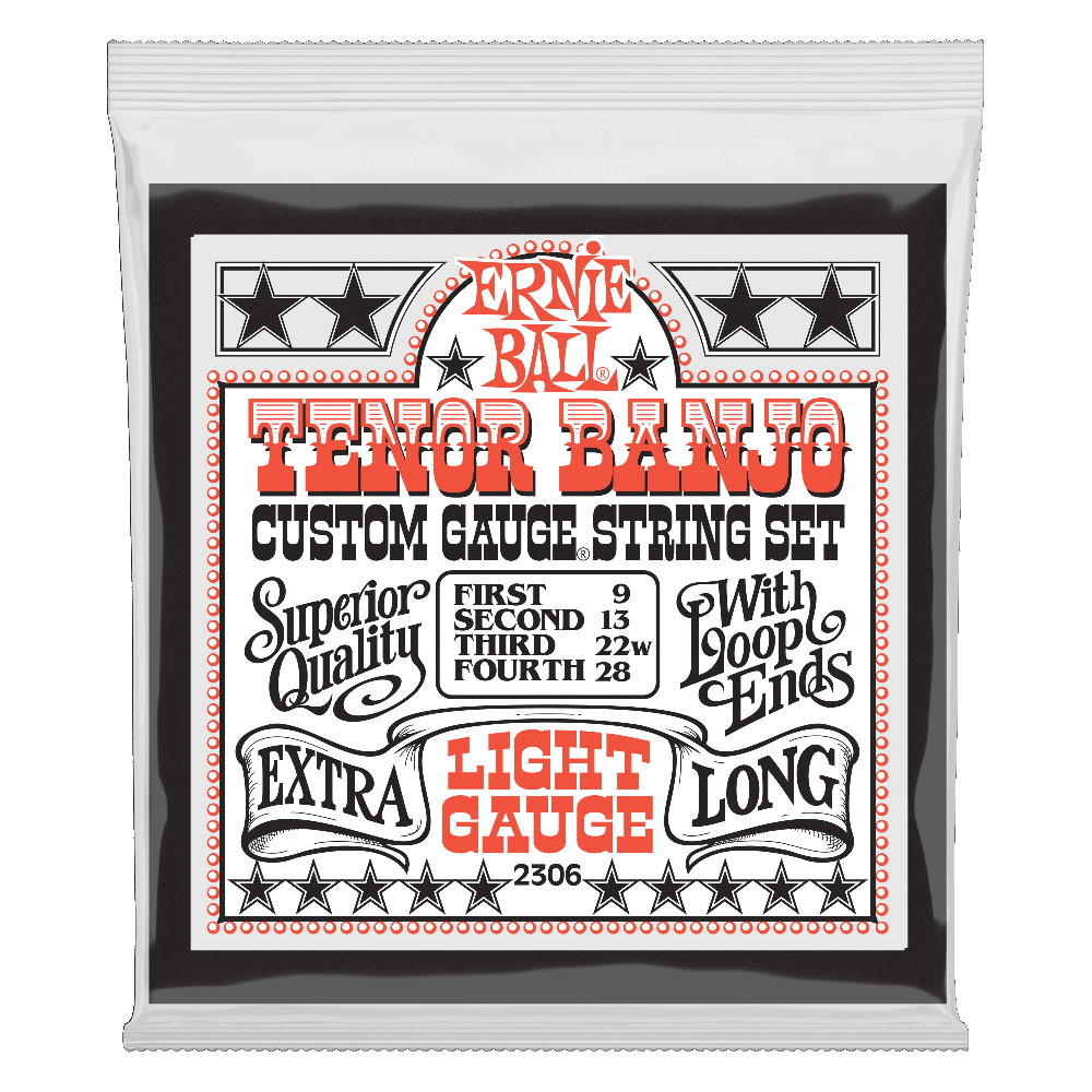 ERNIE BALL 2306 Light Loop End Stainless Steel 9-28 Gauge テナーバンジョー弦