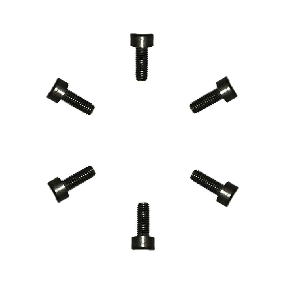SCHALLER Saddle Mount Screw x 6 サドルマウントスクリュー 6個セット