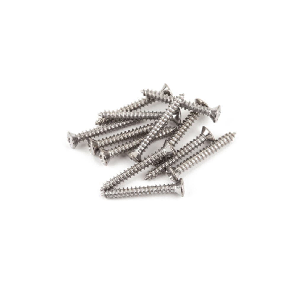 Fender Bass/Telecaster Bridge/Strap Button Mounting Screws ネジ 12本入り