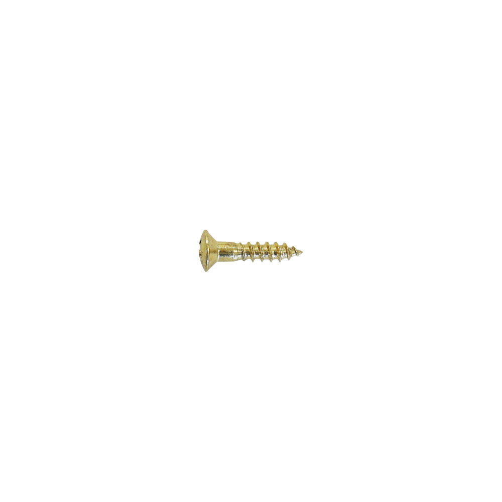 SCUD TS-01GH 12pcs ピックガード用 ネジ ミリサイズ ゴールド