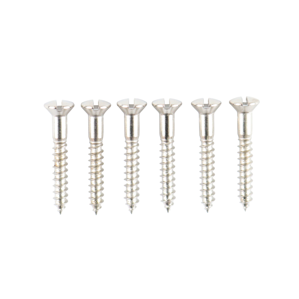 Montreux Inch TL bridge and strap pin screws 6 No.929 ギターパーツ ネジ