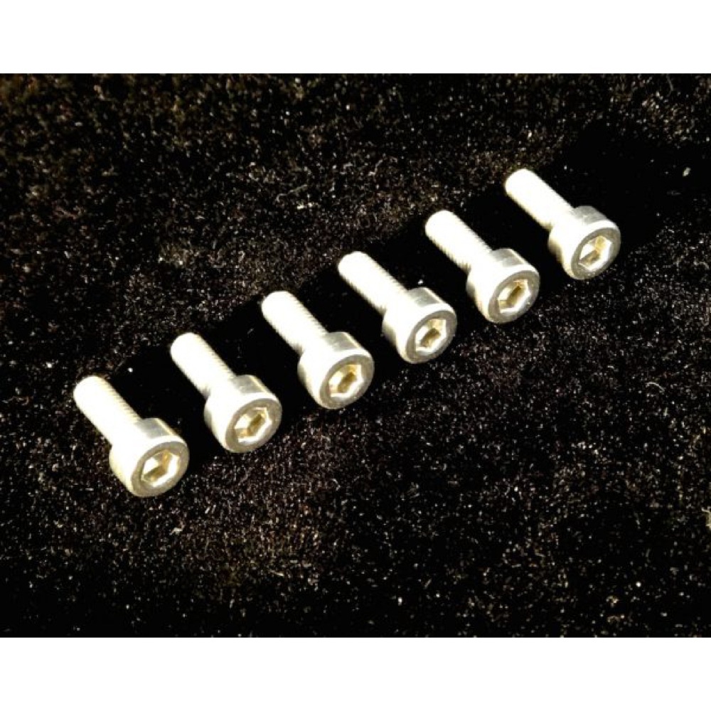 FU-Tone Stainless Saddle Mounting Screw Set フロイドローズ用 サドルマウントスクリュー 6個セット イメージ画像