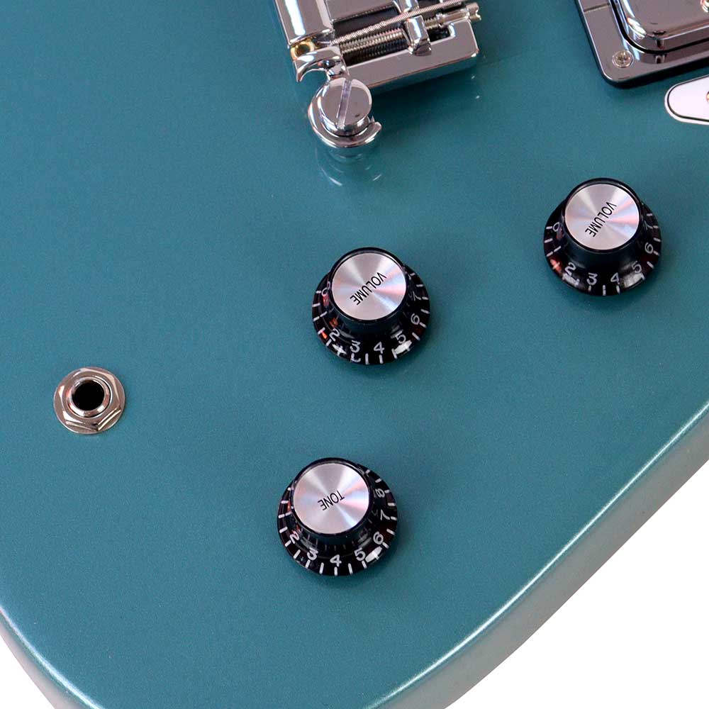 Gibson ギブソン Non-Reverse Thunderbird Faded Pelham Blue エレキベース コントロール部