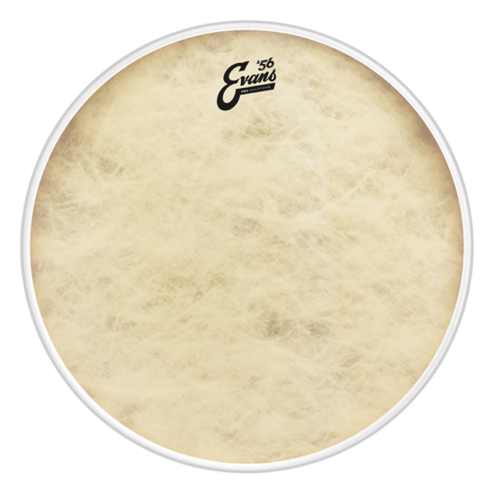 EVANS BD18GB4CT ’56 - EQ4 Calftone Bass バスドラムヘッド