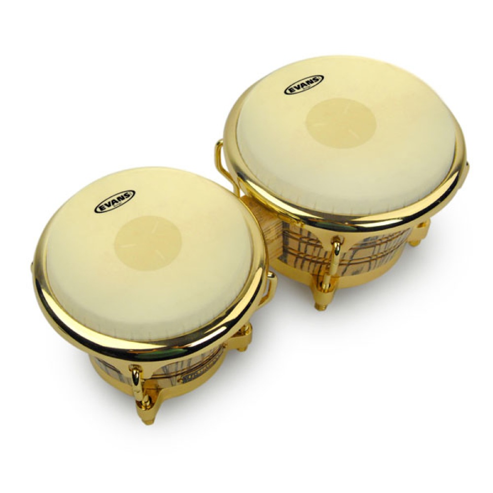 EVANS EB07 7 1/4' Tri-Center Bongo ボンゴヘッド 設置例画像