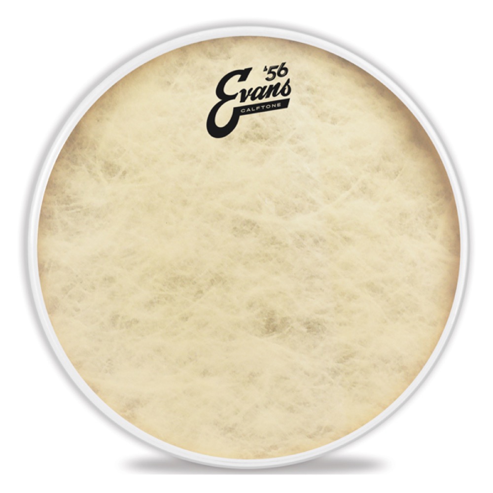EVANS TT13C7 ’56 - Calftone ドラムヘッド