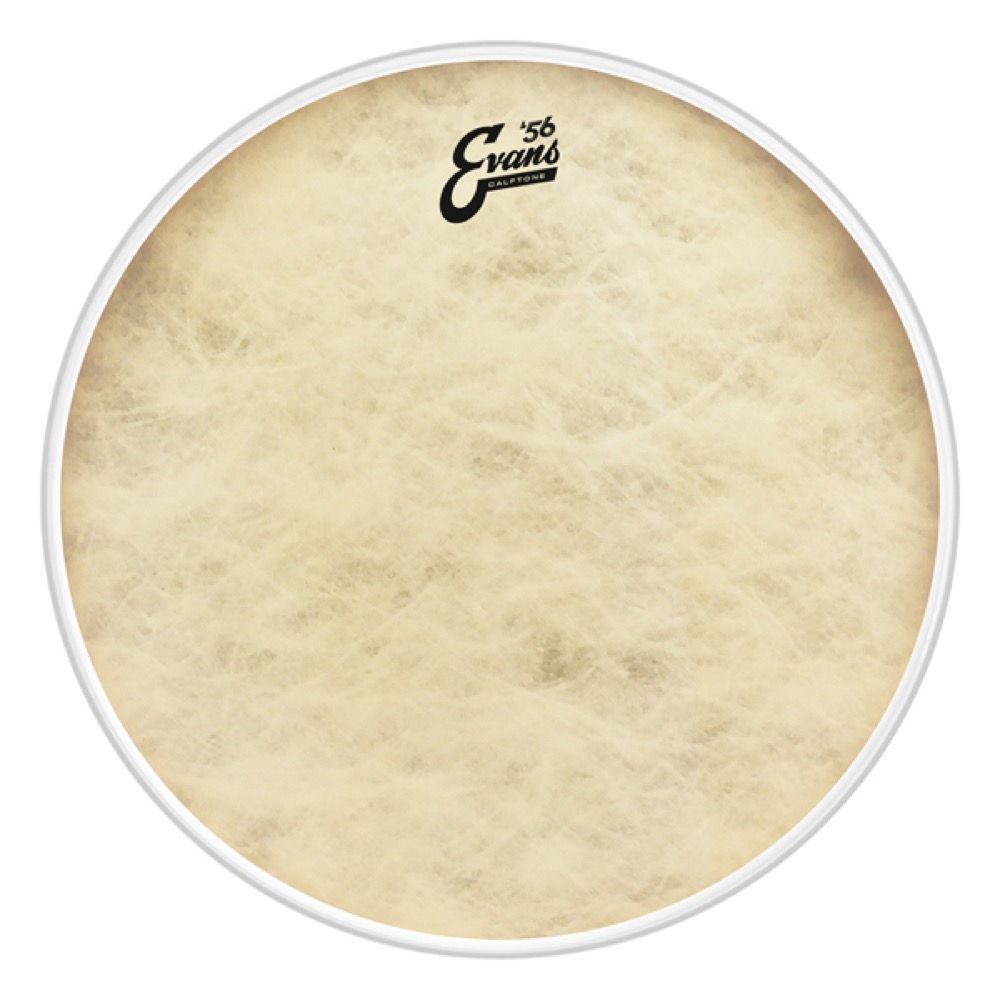 EVANS TT16CT ’56 - Calftone Bass ドラムヘッド