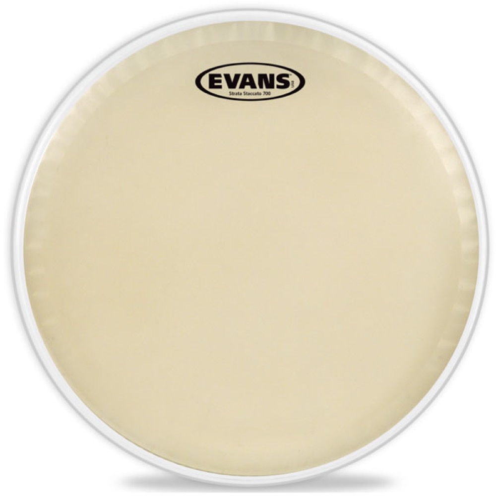EVANS CS14SS Strata Staccato 700 Concert Snare Head ドラムヘッド