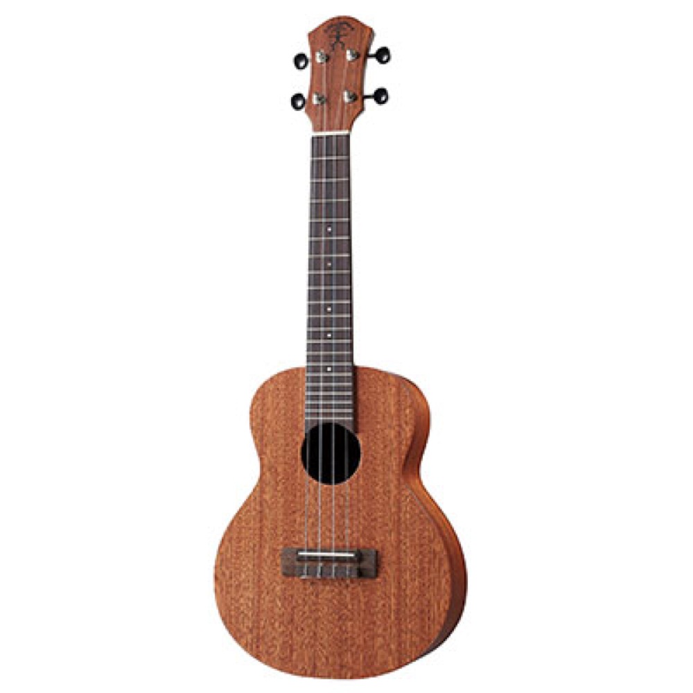 aNueNue aNN-U2 Hawaiian Dream Series Mahogany II コンサートウクレレ