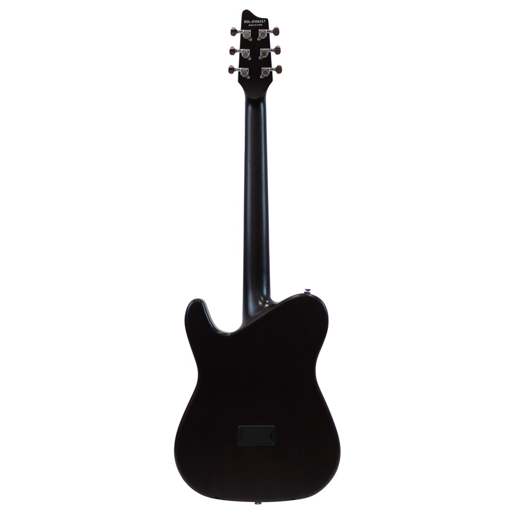 SCHECTER OL-FL SNTL エレクトリックアコースティックギター 全体の画像