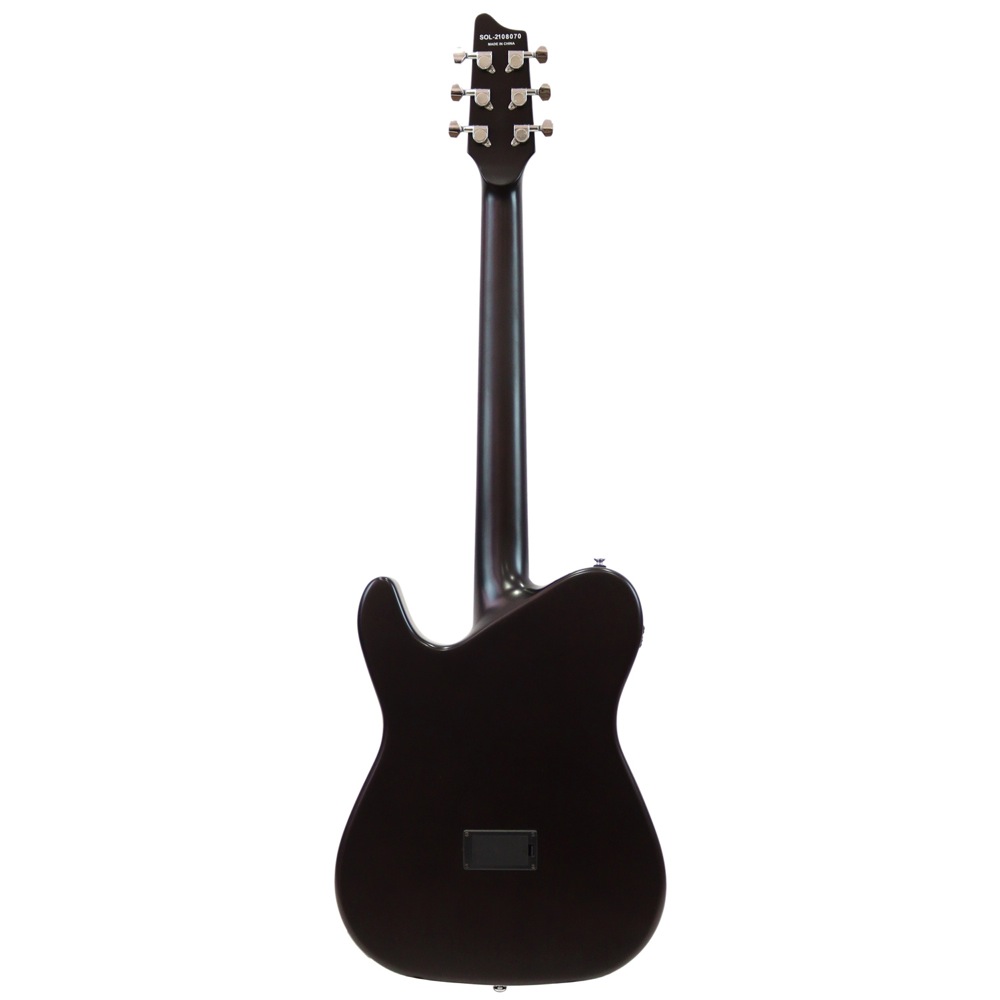 SCHECTER OL-FL TSB エレクトリックアコースティックギター 全体の画像