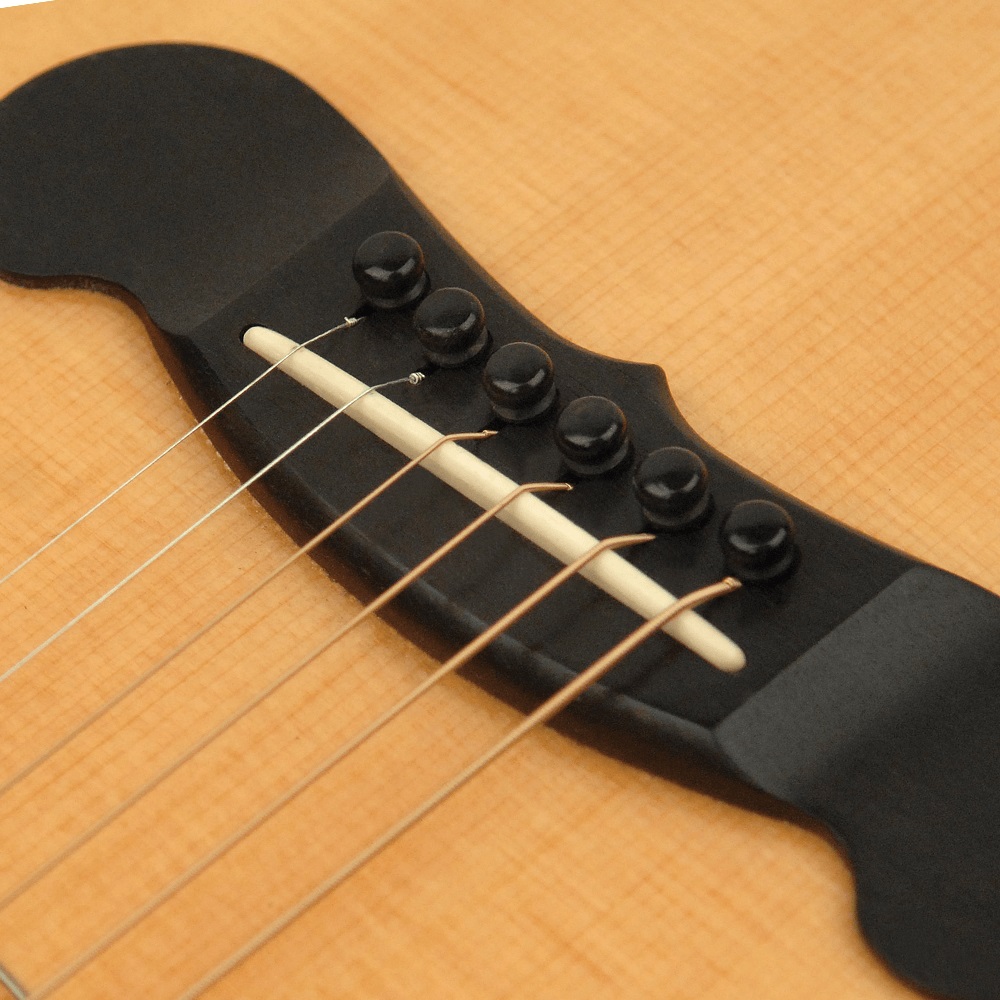 Planet Waves by D’Addario PWPS9 Ebony ブリッジピン&エンドピンセット 使用例画像