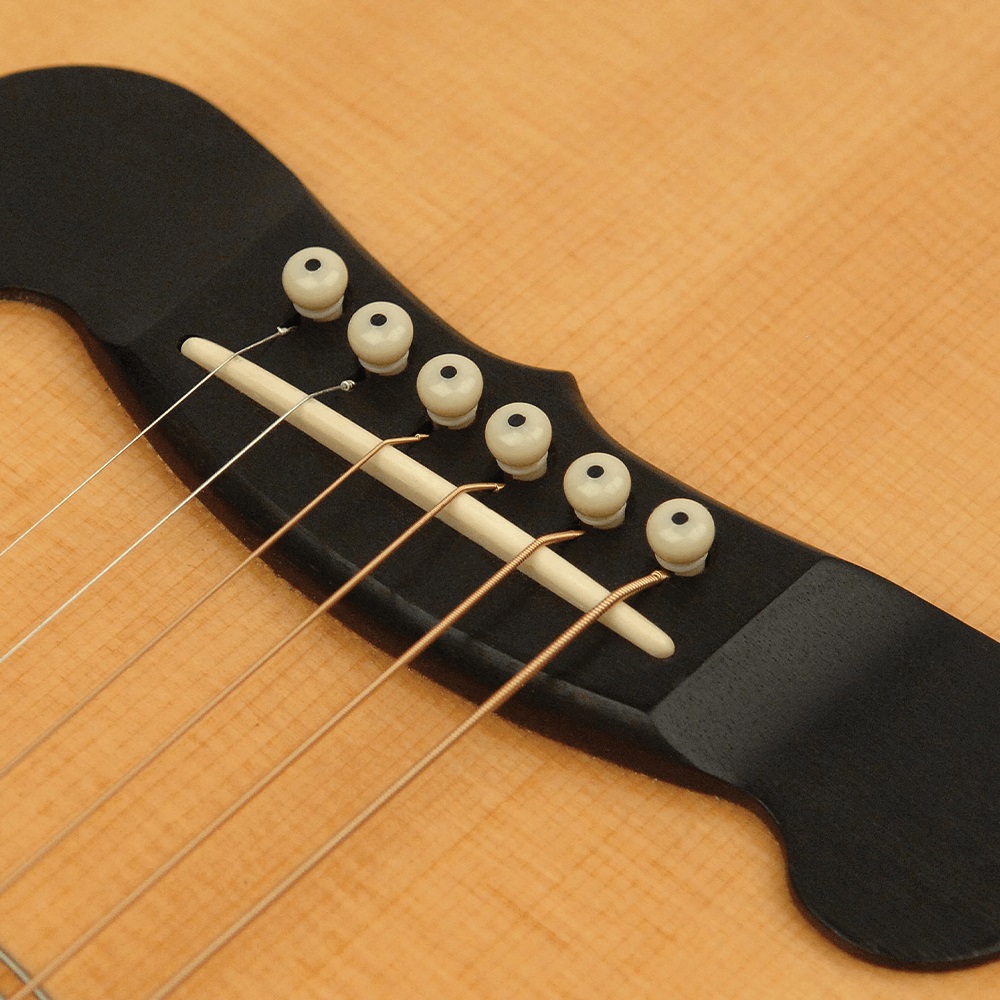 Planet Waves by D’Addario PWPS12 Ivory with Ebony Dot ブリッジピン&エンドピンセット 使用例画像
