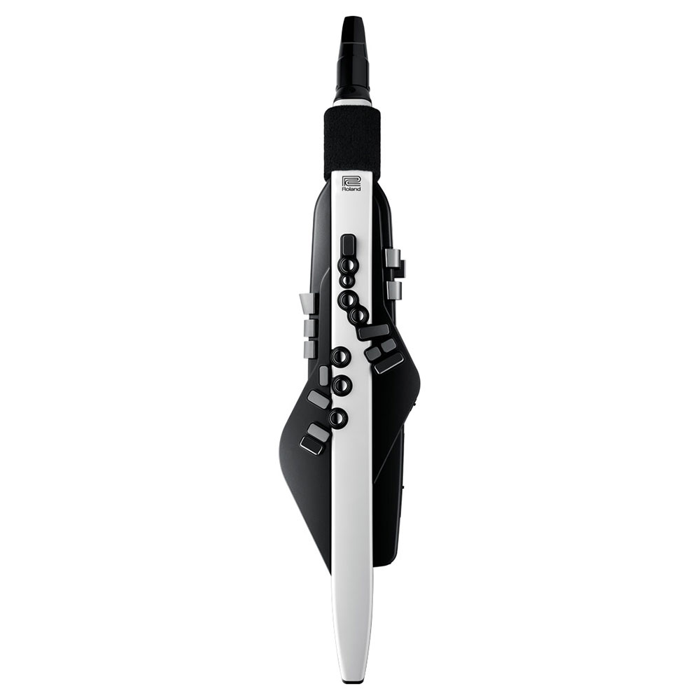 Roland AE-20 Aerophone ウィンドシンセサイザー 正面からの画像