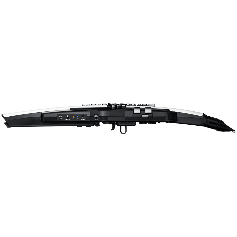 Roland AE-20 Aerophone ウィンドシンセサイザー 側面画像 入出力端子部画像
