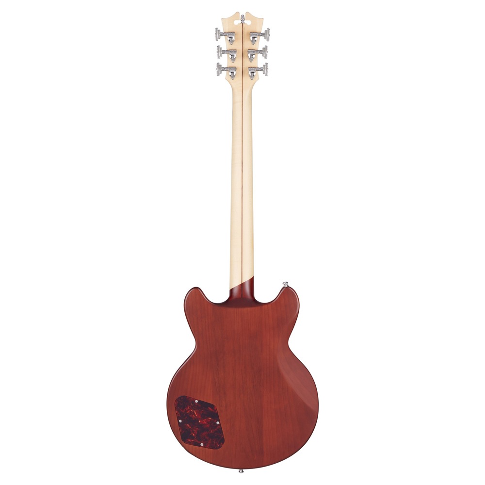 D’Angelico Deluxe Brighton Matte Walnut エレキギター 全体画像