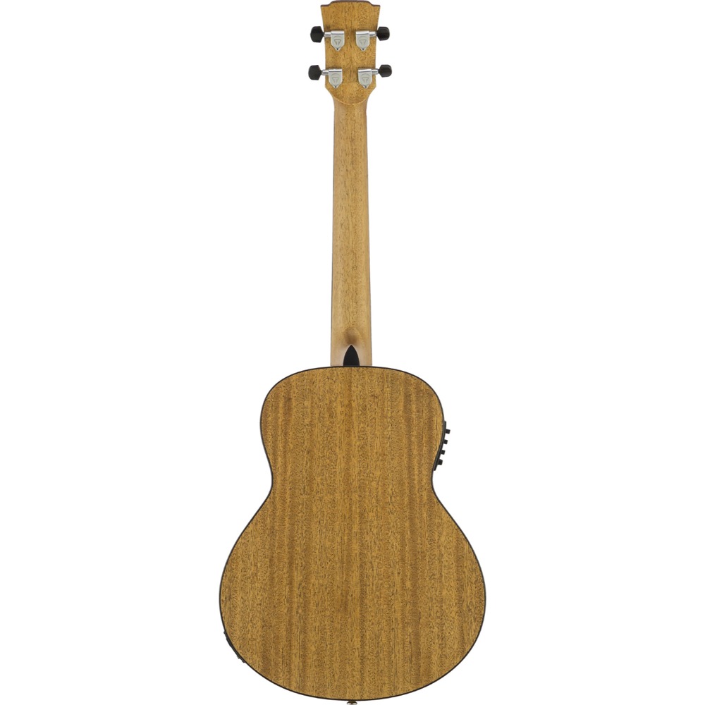 TRAVELER GUITAR Redlands Concert Bass Spruce エレクトリックアコースティックベース バック画像
