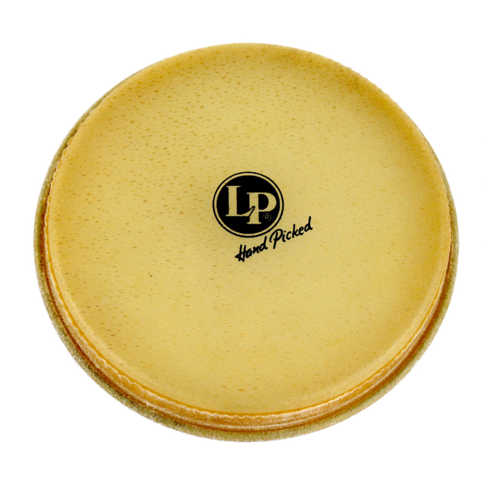 LP LP264A ボンゴヘッド L ボンゴ用ヘッド