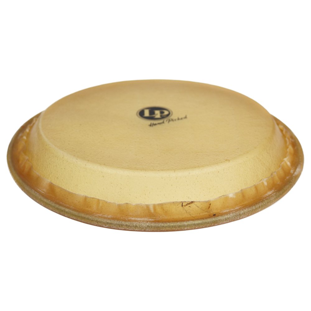 LP LP803A コンガヘッド 9 3/4 コンガ用ヘッド 本体画像