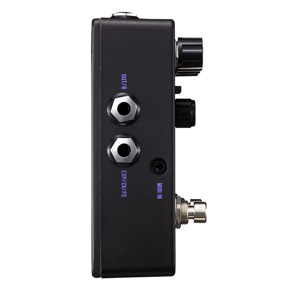 Free The Tone Cosmic Wave CW-1Y Multiple filtering delay ディレイ ギターエフェクター 入出力端子部画像