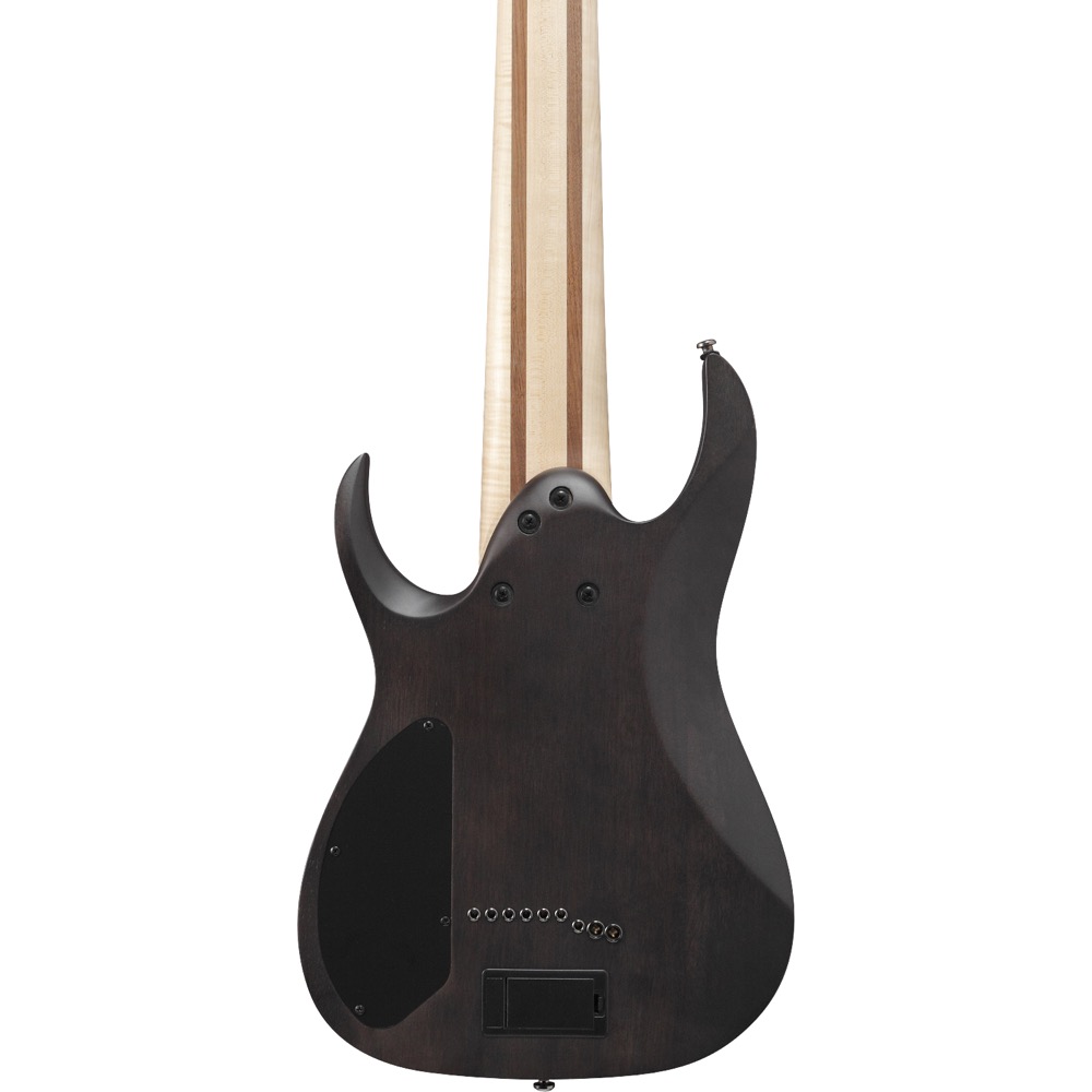 IBANEZ RG9PB-TGF Axe Design Lab Transparent Gray Flat 9弦エレキギター ボディバック画像