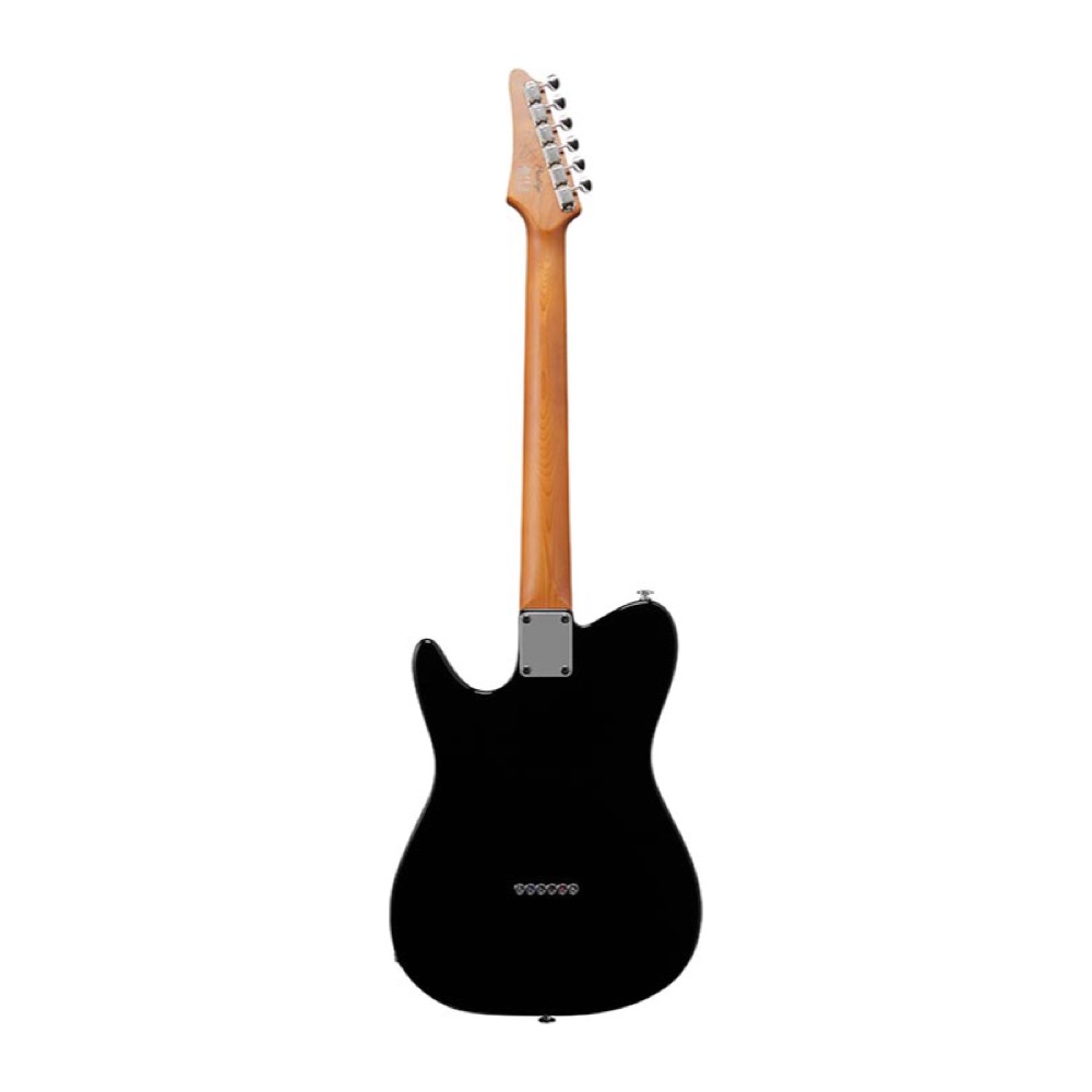 IBANEZ アイバニーズ FLATV1-BK ジョシュ スミス シグネチャーモデル エレキギター バック画像