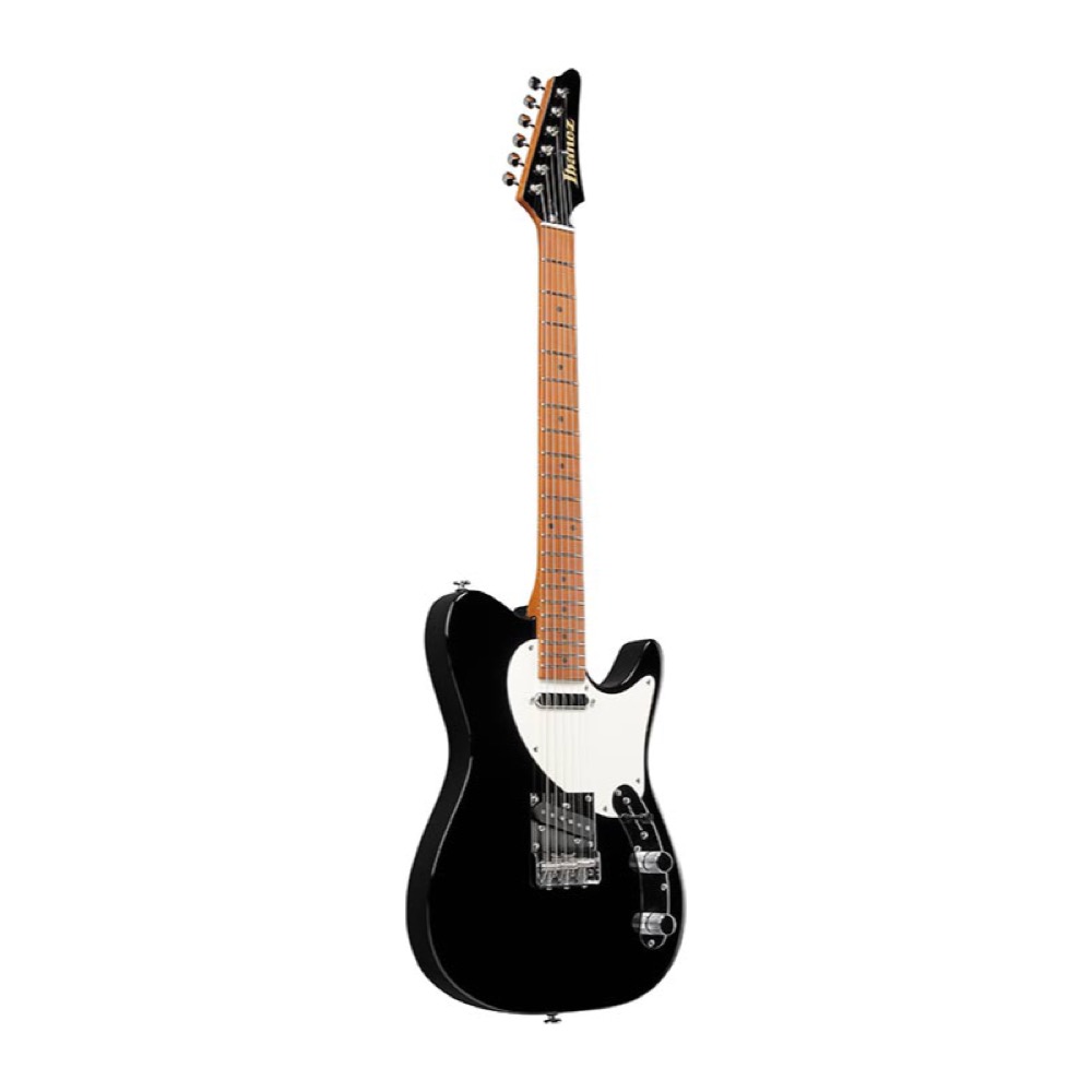 IBANEZ アイバニーズ FLATV1-BK ジョシュ スミス シグネチャーモデル エレキギター 斜めアングル画像