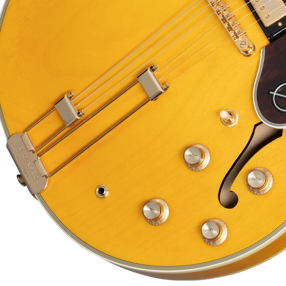Epiphone エピフォン Sheraton Natural エレキギター ポット画像