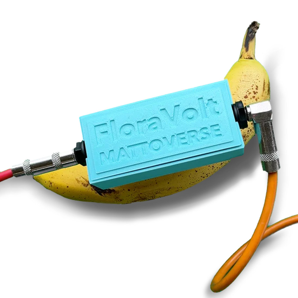 Mattoverse Electronics マットバースエレクトロニクス FloraVolt Mini Teal オーディオサチュレーター ギターエフェクター バナナに電極を刺した状態