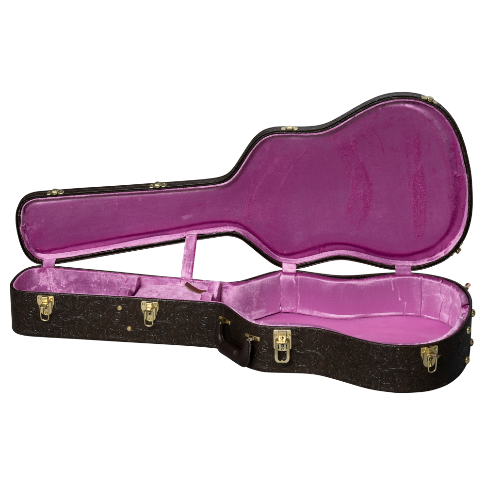 Epiphone エピフォン Chris Stapleton Frontier エレクトリックアコースティックギター ケース画像