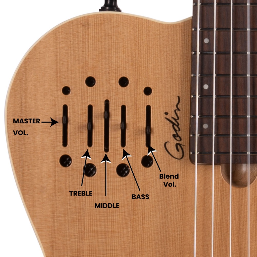 Godin ゴダン Multiac Nylon Encore Natural SG ナイロン弦 エレガットギター コントロール詳細画像