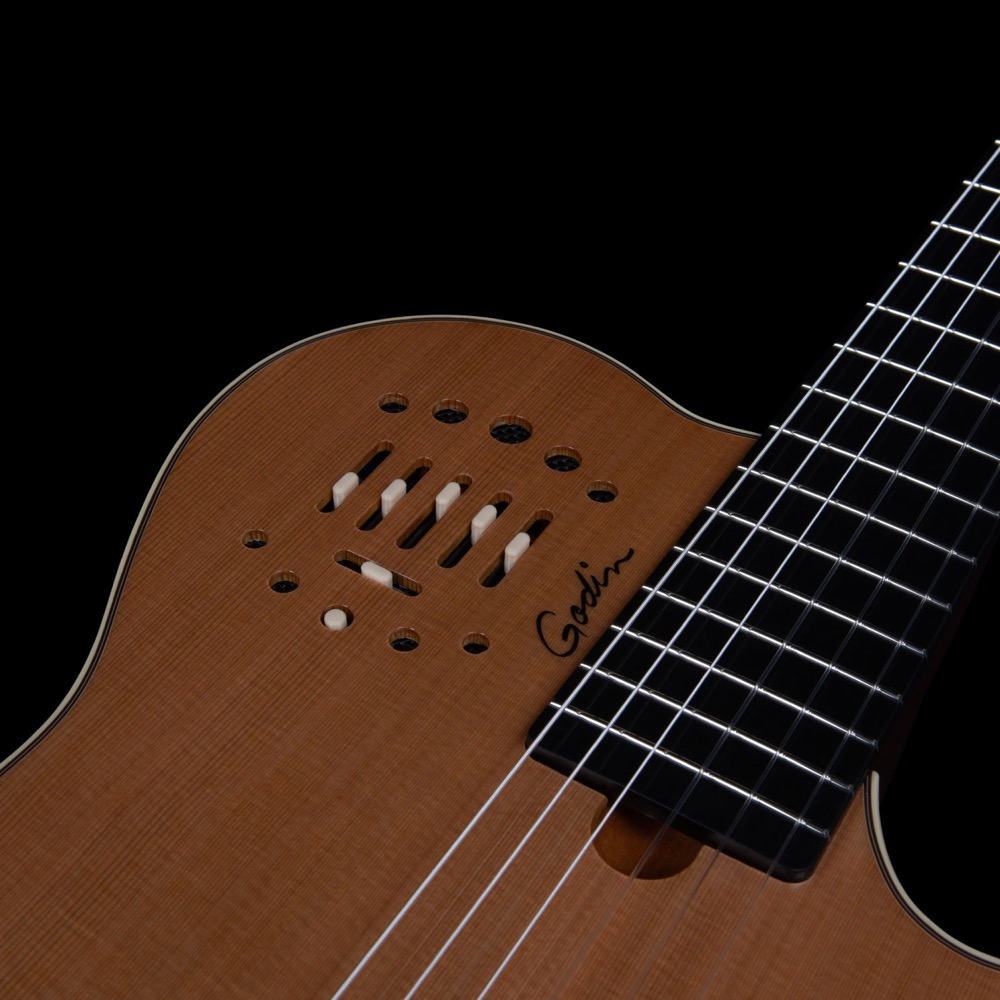 Godin ゴダン Multiac Grand Concert Deluxe ナイロン弦 エレガットギター コントロール画像
