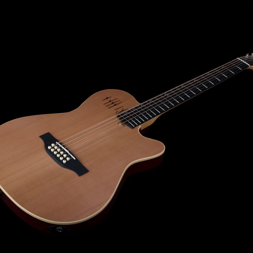 Godin ゴダン A12 Natural SG 12弦 エレクトリックアコースティックギター 平置き画像