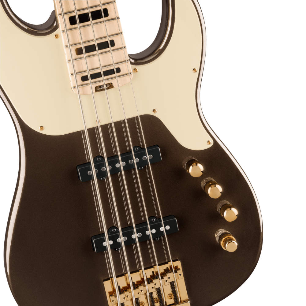 Jackson ジャクソン The Adam Blackstone Gladys Jackson Pro Series Signature Concert Bass BLKSN 5弦エレキベース ピックアップ、コントロール