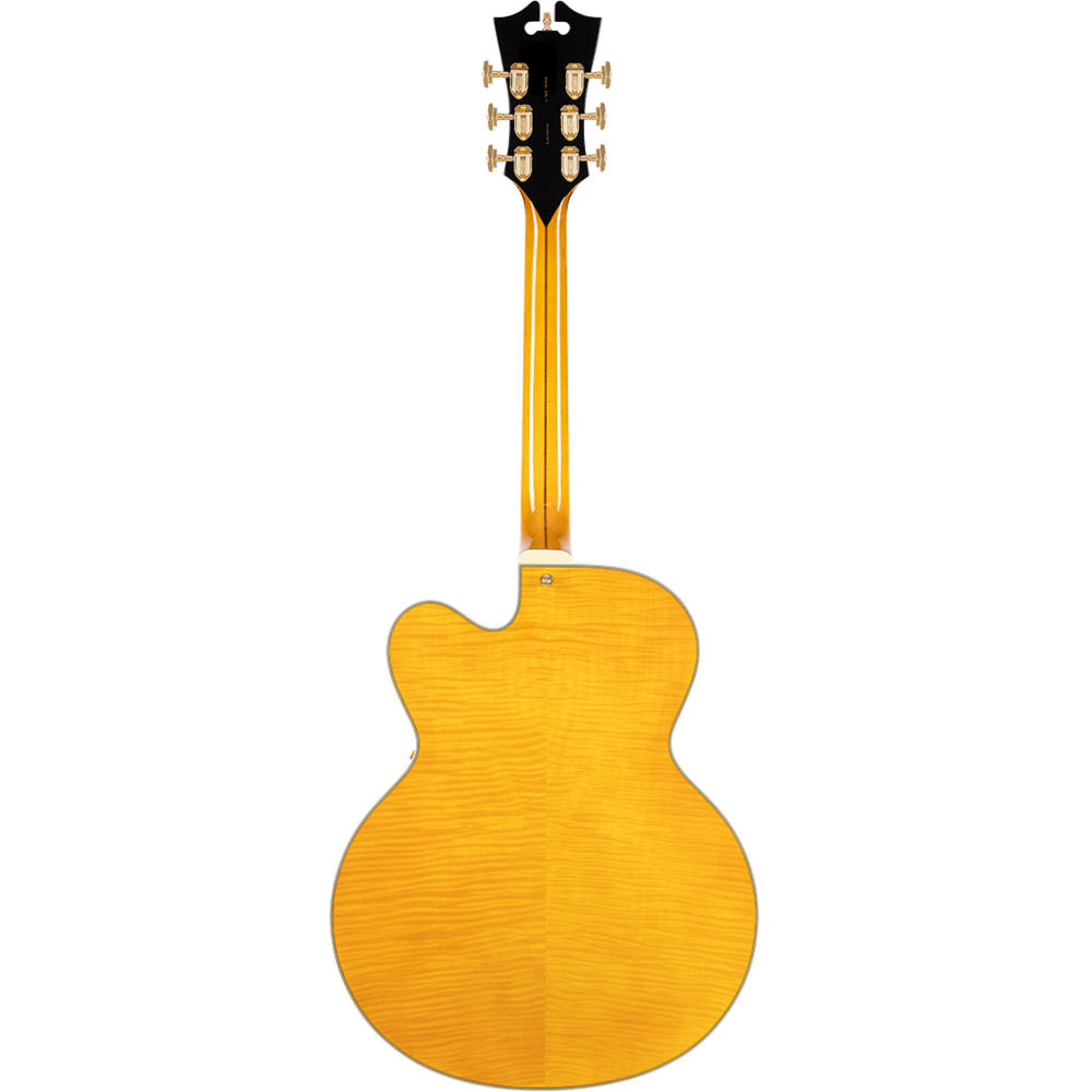 D’Angelico ディアンジェリコ Excel EXL-1 Amber エレキギター フルアコ ボディバック