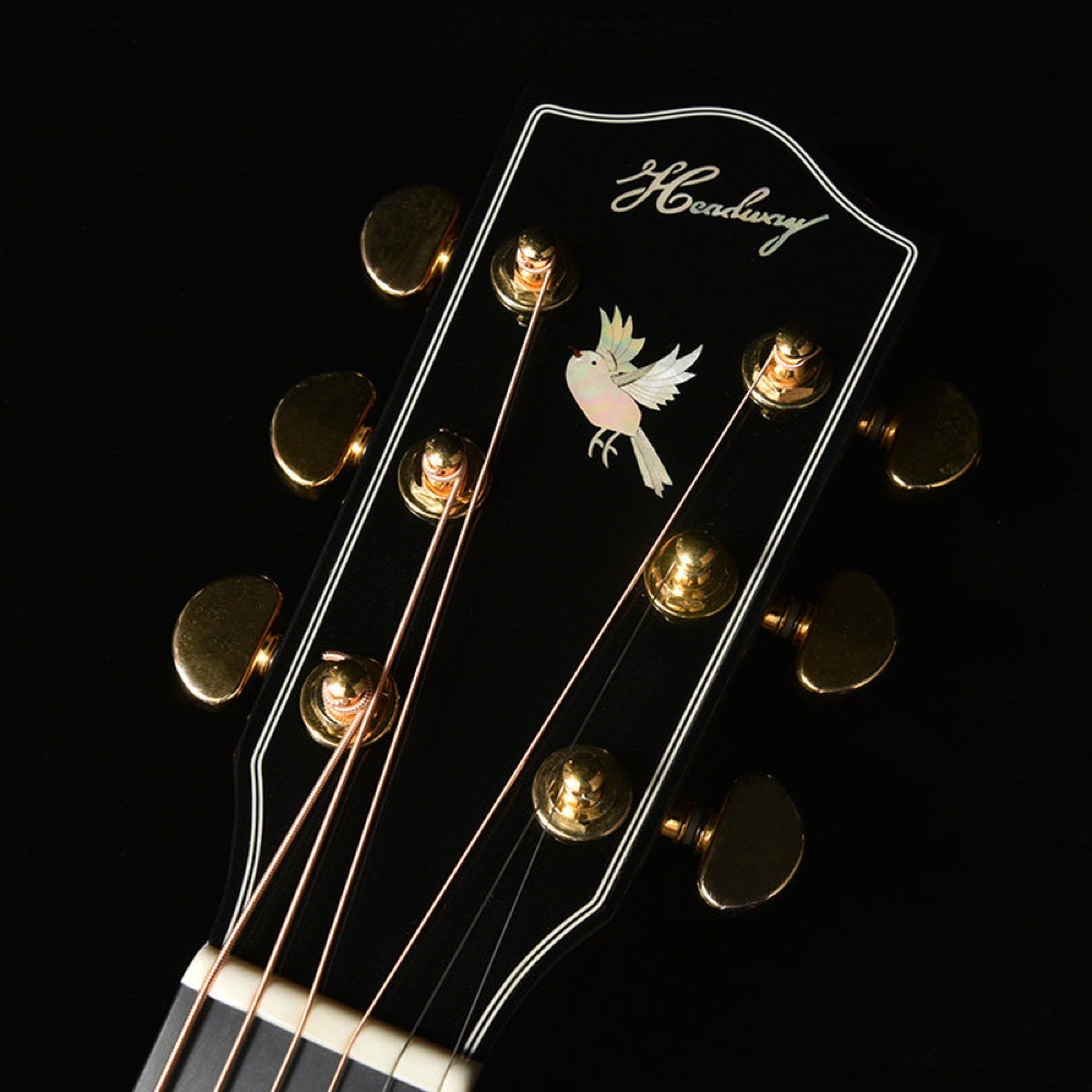 HEADWAY ヘッドウェイ Japan Tune-up Series HOC-NORTHBIRD NA アコースティックギター アコギ ヘッド表
