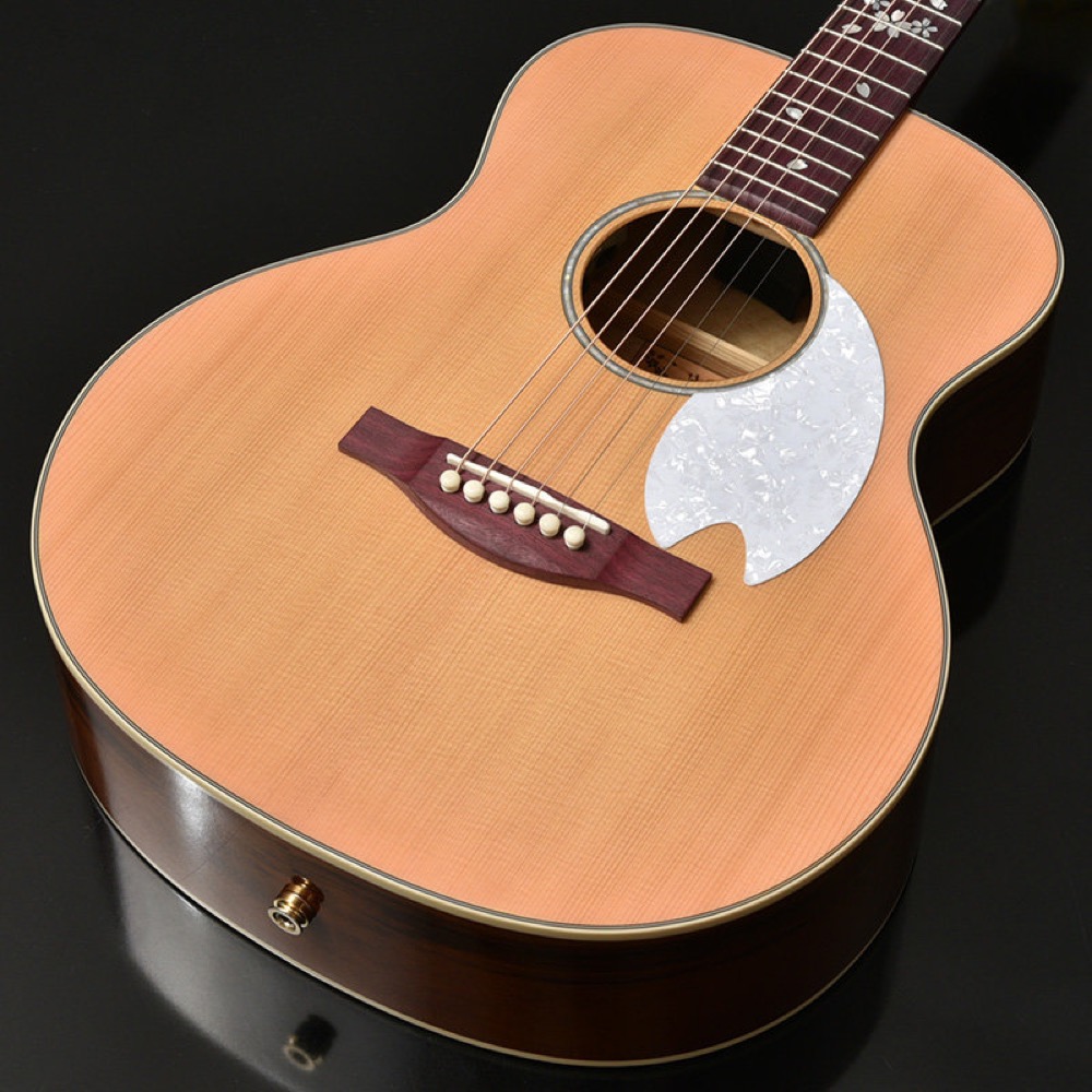 HEADWAY ヘッドウェイ Japan Tune-up Series HTJ-SAKURA SKPN エレクトリックアコースティックギター エレアコ トップ