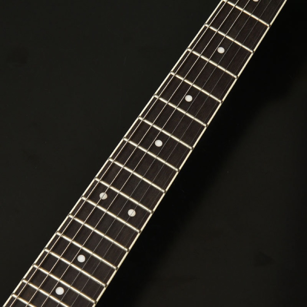 SeventySeven Guitars セブンティセブンギターズ EXRUBATO-STD-JT ABR セミアコースティックギター エレキギター セミアコ 77 指板