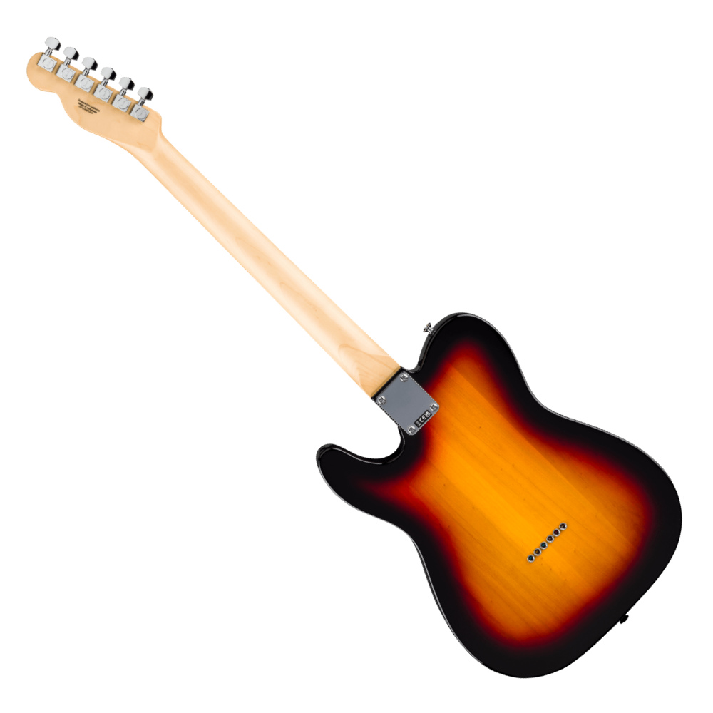 Fender フェンダー Standard Telecaster LRL WPG 3TS エレキギター テレキャスター バック画像