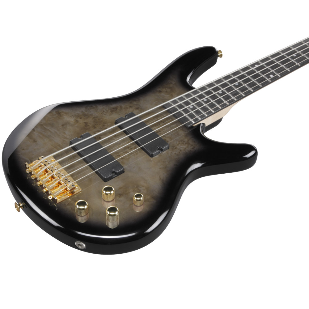 IBANEZ アイバニーズ GSR205PC-TPB Gio Transparent Pale Black Burst 5弦エレキベース ボディ斜めアングル画像