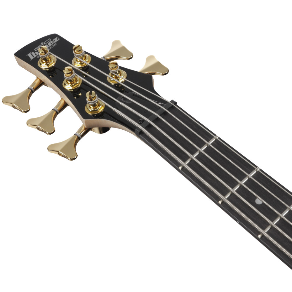 IBANEZ アイバニーズ GSR205PC-TPB Gio Transparent Pale Black Burst 5弦エレキベース ヘッド画像