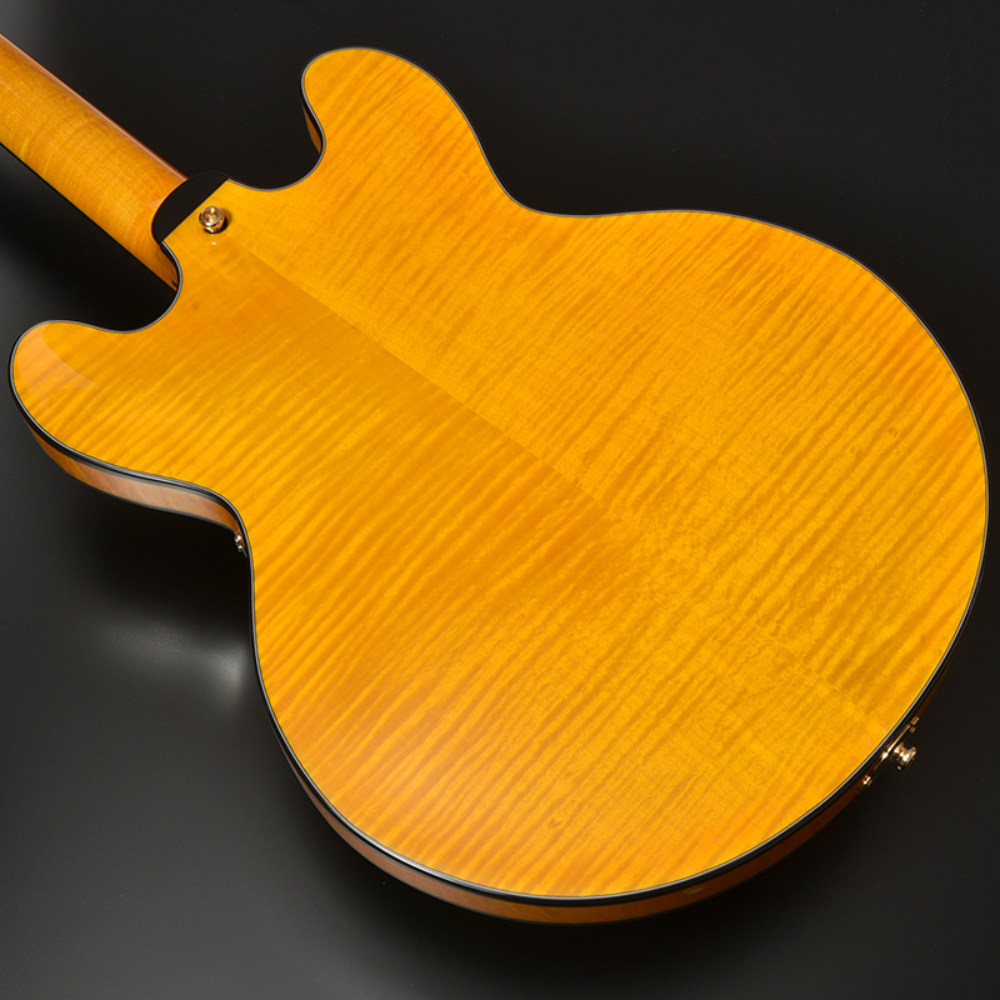 SeventySeven Guitars セブンティセブンギターズ EXRUBATO-ONE/S ANA フルアコースティックギター エレキギター フルアコ 77 ボディ部裏